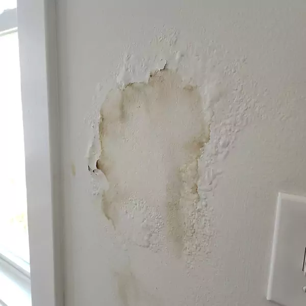 Expert Drywall Water Damage Repair in Santa Cruz, CA