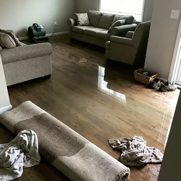 Flood Restoration in Santa Cruz, CA