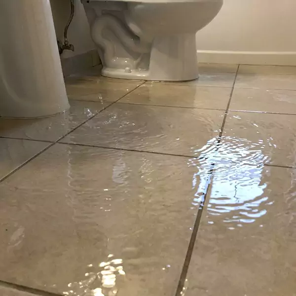 Expert Flooded Bathroom Restoration in Santa Cruz, CA 