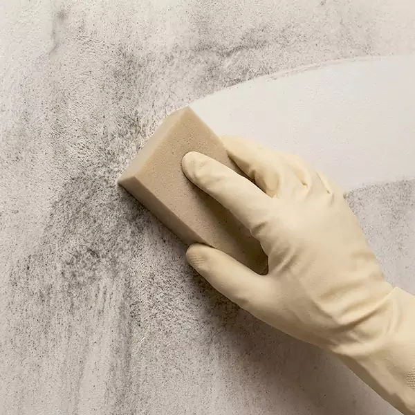 Smoke Cleaning in Santa Cruz, CA 