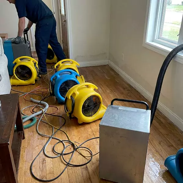 Water Mitigation Services in Santa Cruz, CA