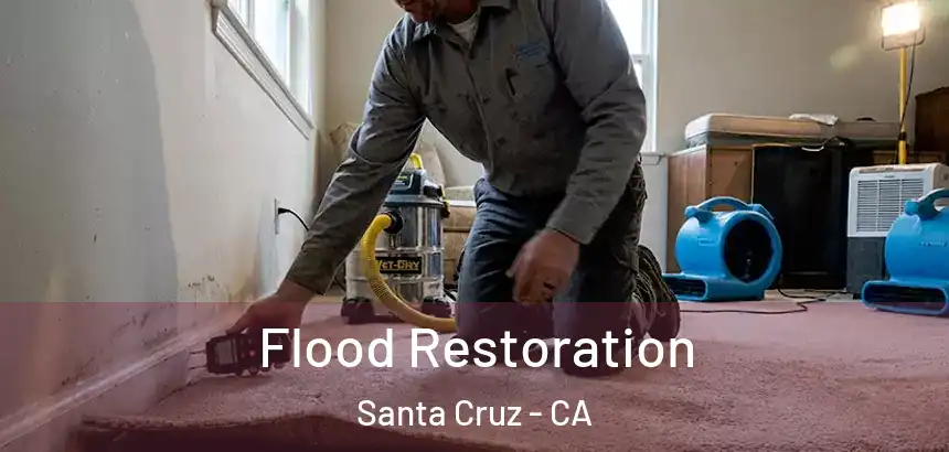  Flood Restoration Santa Cruz - CA