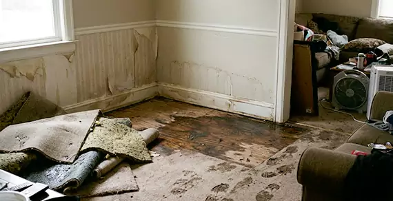 Why Choose Santa Cruz Water Damage Pros For Water Damage Restoration Services in Santa Cruz, CA?