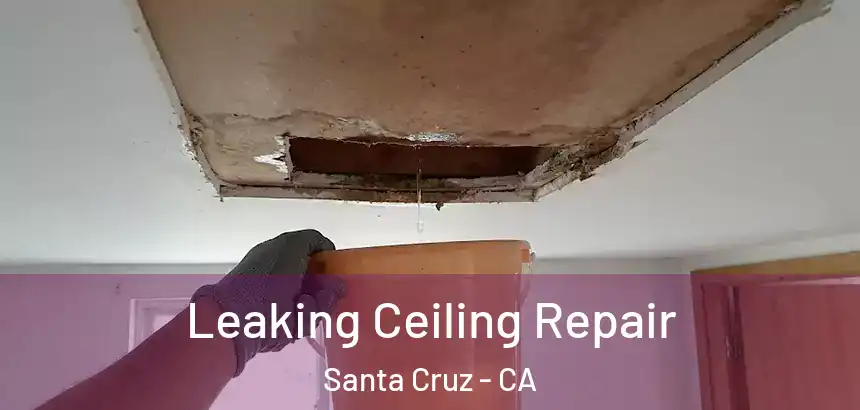  Leaking Ceiling Repair Santa Cruz - CA