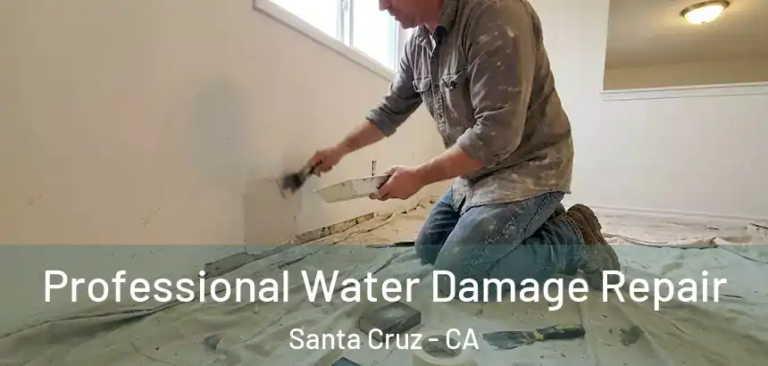  Professional Water Damage Repair Santa Cruz - CA