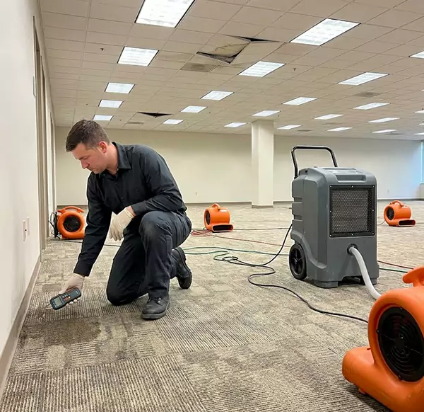 Why Businesses Choose Santa Cruz Water Damage Pros for Commercial Water Damage in Santa Cruz, CA?