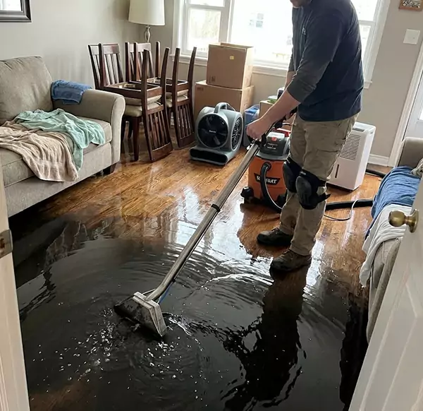 Why Homeowners & Businesses Choose Santa Cruz Water Damage Pros for Flood Restoration in Santa Cruz, CA?