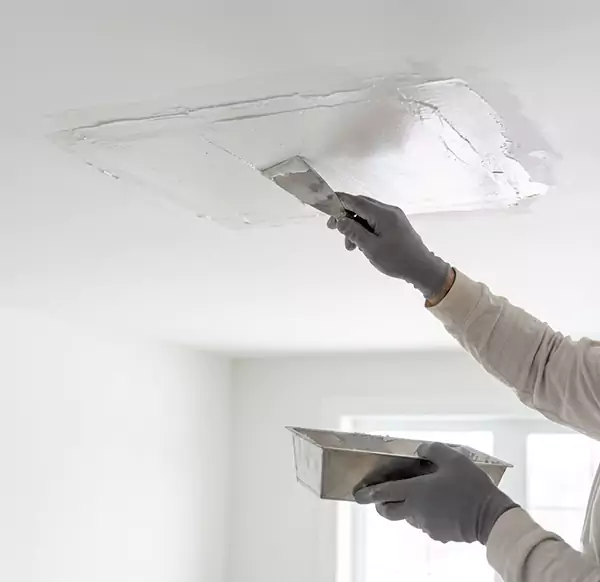 Why Homeowners and Businesses Choose Santa Cruz Water Damage Pros for Leaking Ceiling Repair in Santa Cruz, CA?