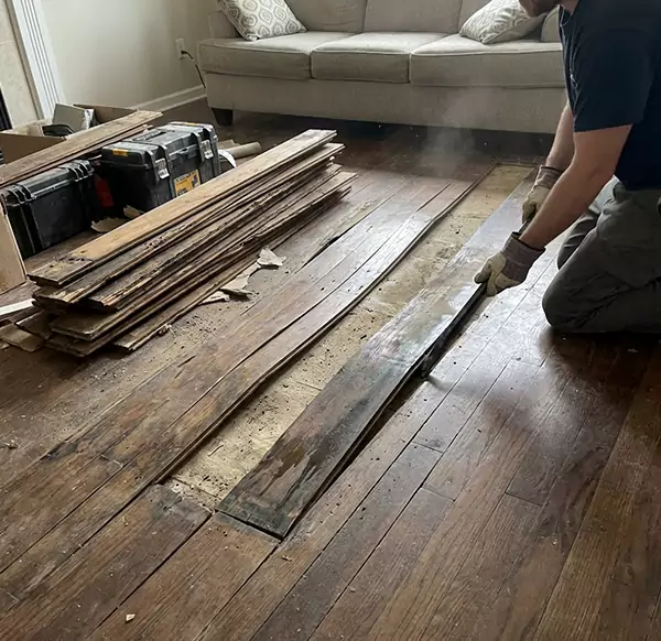 Why Choose Santa Cruz Water Damage Pros for Wood Floor Water Damage Repair in Santa Cruz, CA?